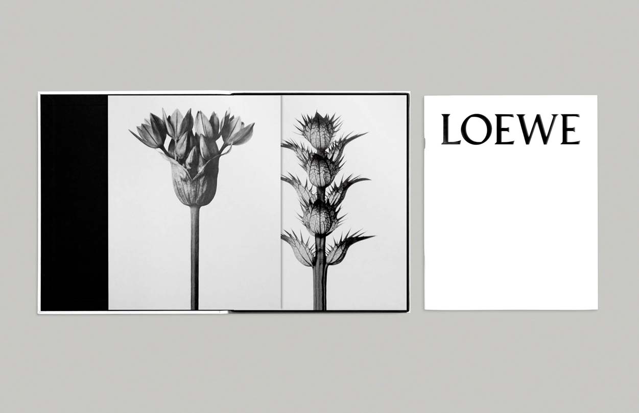 The new #LOEWE packaging. Designed in the new smokey-white Humo color.